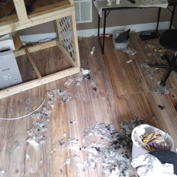 Pups University - As a dog lover this is unacceptable and I reported this company. His previous MD location. BEWARE!! - Pet Sitting Near Me - Largo, Florida Pups University - As a dog lover this is unacceptable and I reported this company. His previous MD location. BEWARE!! - Pet Sitting Near Me - Largo, Florida