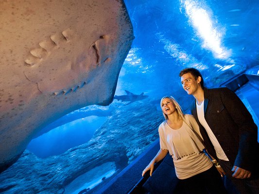 AQWA The Aquarium Of Western Australia by null