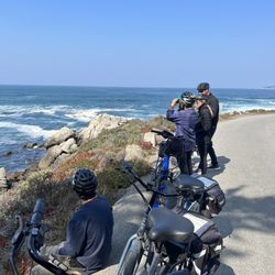 Big Sur Adventures - Otter watching