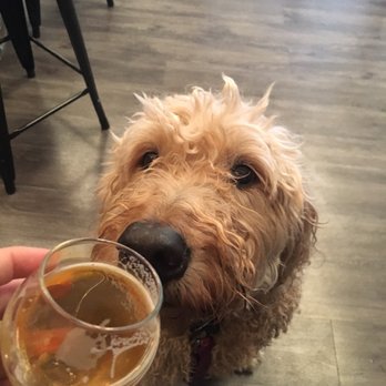 Gilman Brewing Company - Berkeley - Brewpubs Near Me - Berkeley, California