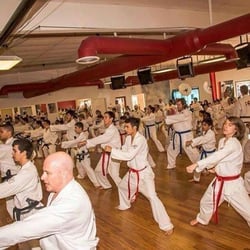 Tae Kwon Do Carrollwood