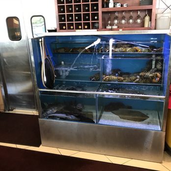King Palace - Bonus points on the live aquarium! - Chinese Near Me - San Ramon, California