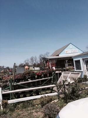 Garden of Eve Organic Farm by null