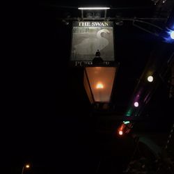 The Swan
