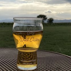 Wild Cider - Orchard & outdoor seating