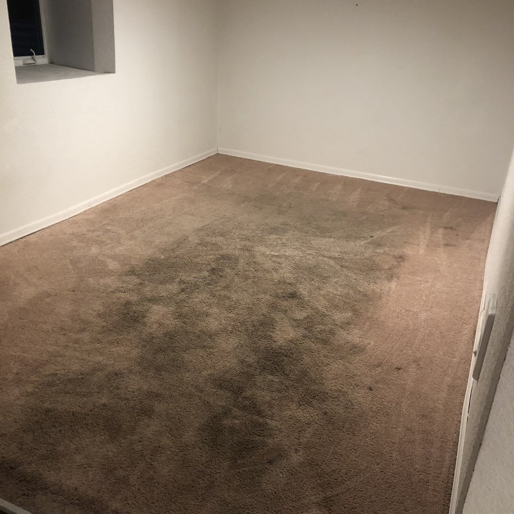 Husky Carpet Cleaning - Before photo - Carpet Cleaning Near Me - Clackamas, Oregon