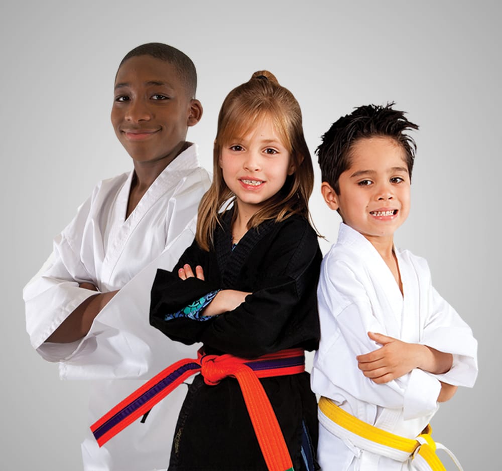 Palanzo Martial Arts Logo
