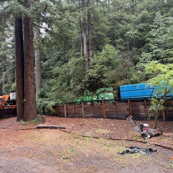Brown’s Logging & Tree Service - Tree Services Near Me Brown’s Logging & Tree Service - Tree Services Near Me