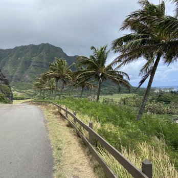 Kualoa Ranch - Movie tour - Tours Near Me - Kaneohe, Hawaii Kualoa Ranch - Movie tour - Tours Near Me - Kaneohe, Hawaii