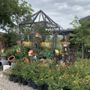 Photo of Down to Earth Nursery