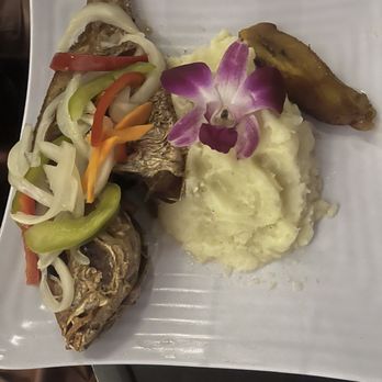 The Grotto - Esco Snapper - Caribbean Near Me - Brooklyn, New York The Grotto - Esco Snapper - Caribbean Near Me - Brooklyn, New York