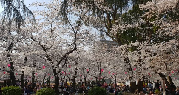 Tsuruma Park by null