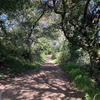 Tilden Regional Park - Parks Near Me - Berkeley, California
