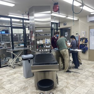 Standiford Veterinary Center 24 Hour Emergency