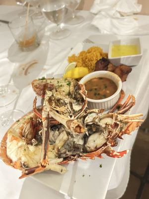 Morgan's Mango by null