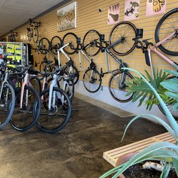 Neighborhood Bicycle Shop - Interior