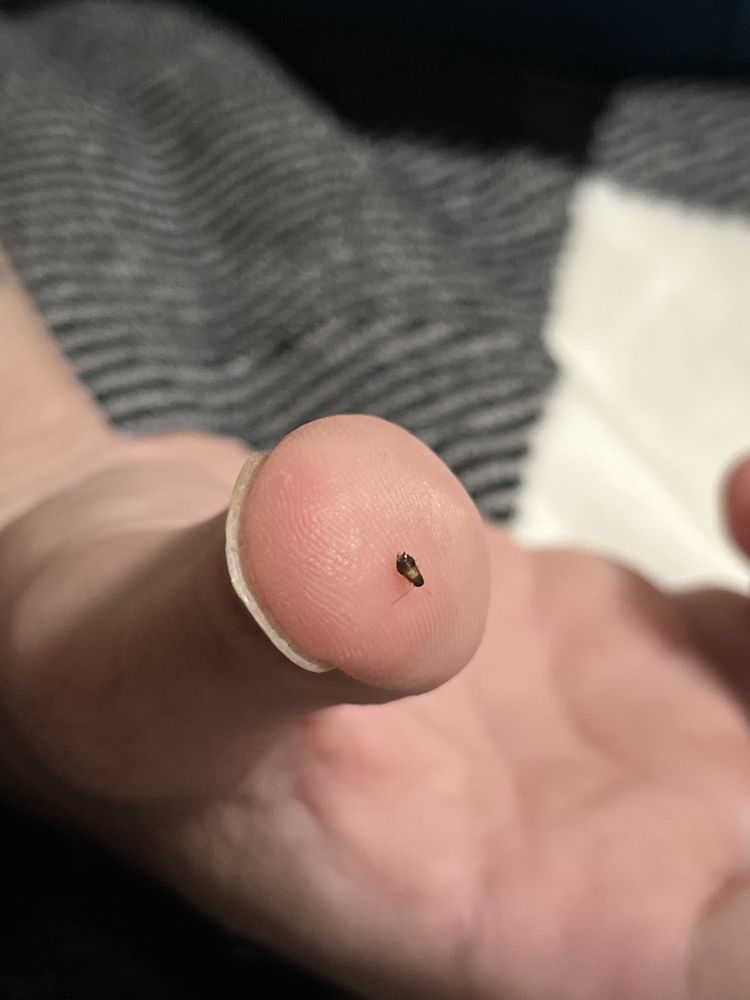 ALPHA & OMEGA REAL ESTATE GROUP PROPERTY MANAGEMENT Updated September