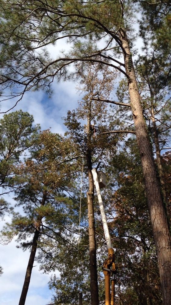 Crenshaw's Tree Service - tree service in Little Rock, AR