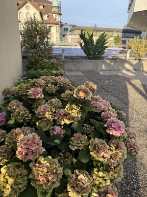 Hotel Metropole by null