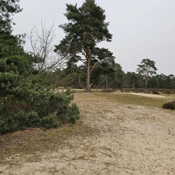 Holmer Sandberge - Hotels & Travel Near Me - Wedel, SH