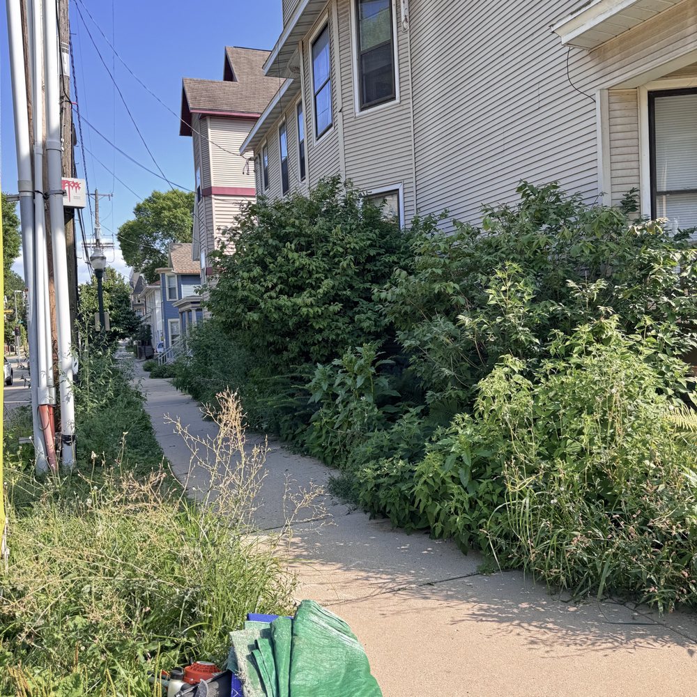 Mount sinai landscaping LLC - tree service in Verona, WI