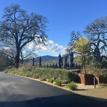 Copain Wines - View from winery - Wineries Near Me - Healdsburg, California