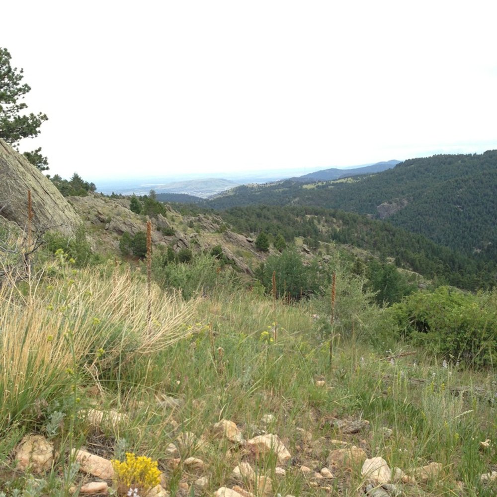 White Ranch Open Space Park - Hiking Near Me - Golden, Colorado White Ranch Open Space Park - Hiking Near Me - Golden, Colorado