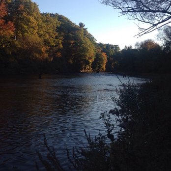 Douglaston Salmon Run - Fishing Near Me - Pulaski, New York