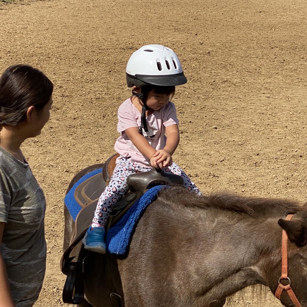 Aloha Riding Lessons - Horn on the saddle for little keikis to hold on to - Horseback Riding Near Me - Honolulu, Hawaii Aloha Riding Lessons - Horn on the saddle for little keikis to hold on to - Horseback Riding Near Me - Honolulu, Hawaii