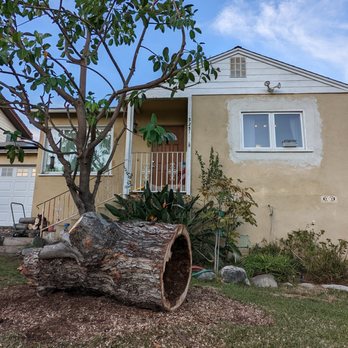 Kings Tree Service - Kings Tree Service placed the hollow piece of the tree trunk on the spot where the tree once stood, as requested by me. - Tree Services Near Me - Sylmar, California Kings Tree Service - Kings Tree Service placed the hollow piece of the tree trunk on the spot where the tree once stood, as requested by me. - Tree Services Near Me - Sylmar, California