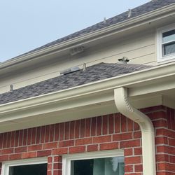 OHNO Critters & Pest Control  - The vent which was left open