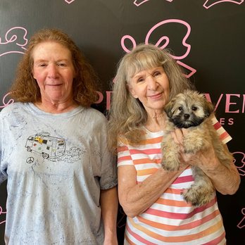 Puppy Heaven - Puppy Heaven reviews - Pet Stores Near Me - Sunrise, Florida Puppy Heaven - Puppy Heaven reviews - Pet Stores Near Me - Sunrise, Florida