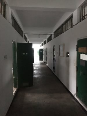 Green Island by null