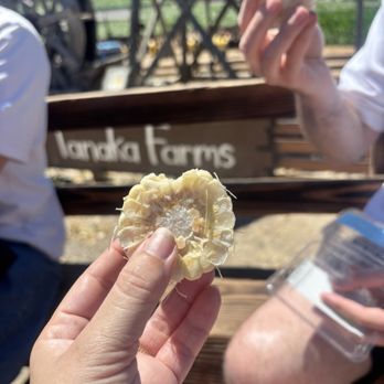 Tanaka Farms - Corn - CSA Near Me - Irvine, California Tanaka Farms - Corn - CSA Near Me - Irvine, California