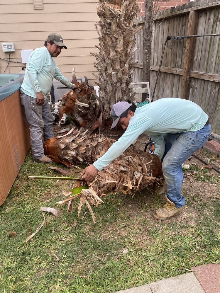Slide of Lieder Landscapes