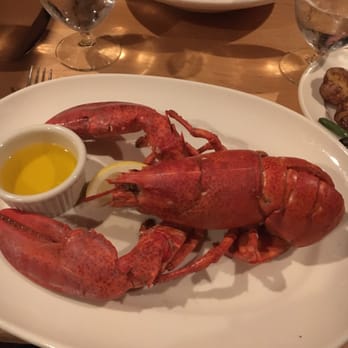 Galyn's - Seafood Near Me - Bar Harbor, Maine