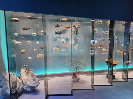 Lee Kong Chian Natural History Museum, Singapore by null