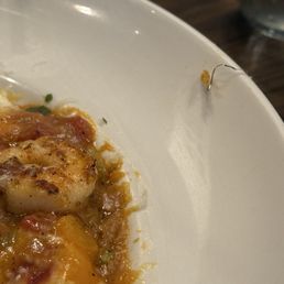 Metal that was found in the shrimp and grits