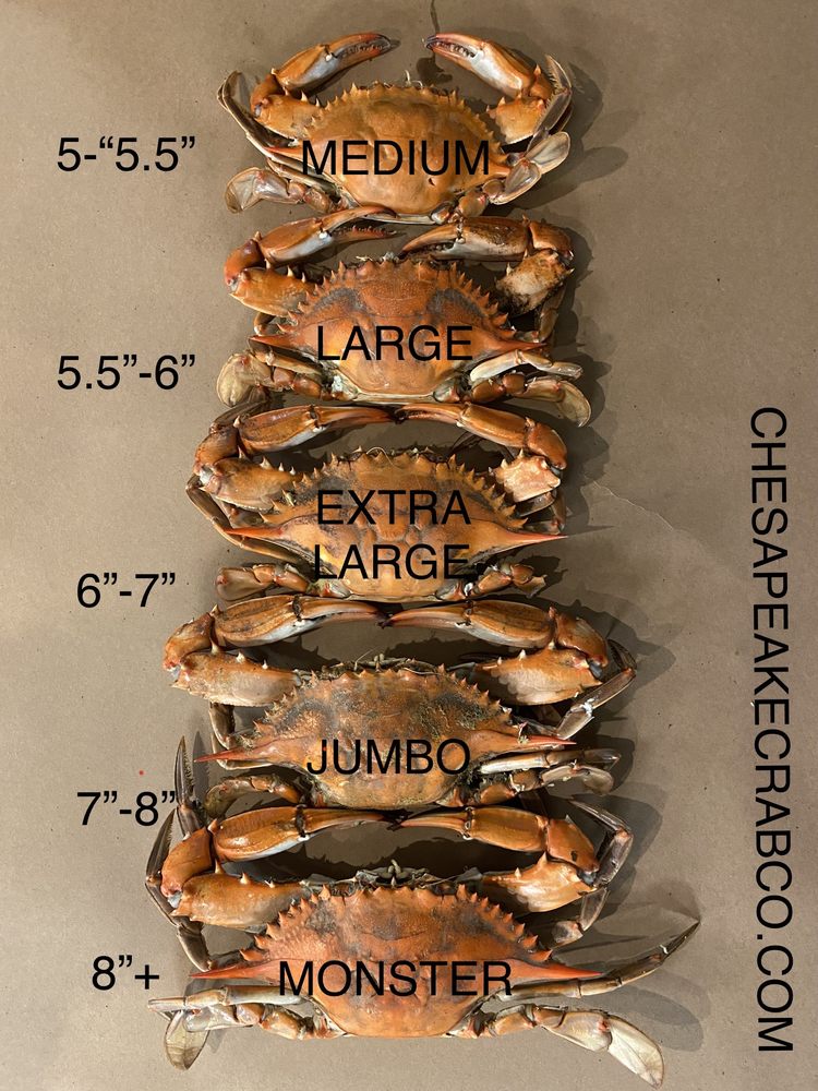 Chesapeake Crab Company Logo
