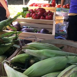 Berlin Farmers' Market - Fresh local vegetables