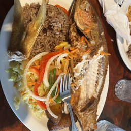 Red Snapper