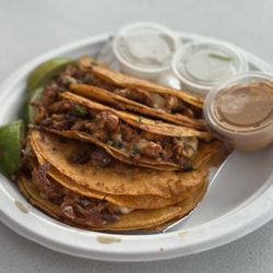 Tortas Y Tacos Mollo Y Rifle