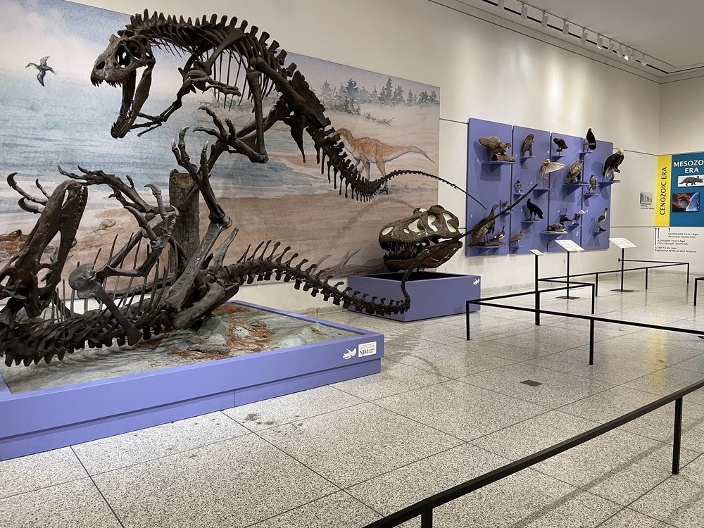 New Jersey State Museum