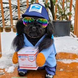United States Post Office - Working hard to deliver your packages!!