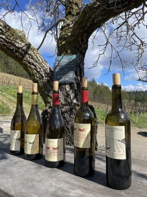 Porter-Bass Winery by null