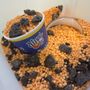 Photo of Dippin’ Dots O’ahu - HIdots808