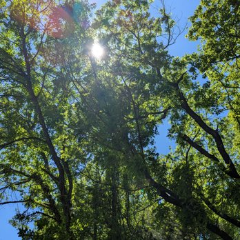 Erwin Park - Perfect spring weather in North Texas - Parks Near Me - McKinney, Texas Erwin Park - Perfect spring weather in North Texas - Parks Near Me - McKinney, Texas