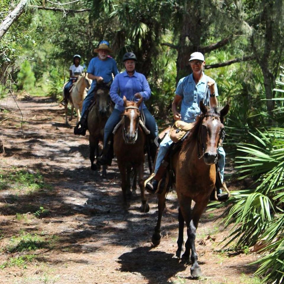 Horseback Trail Rides - equestrian in Cocoa, FL