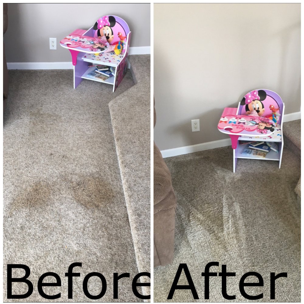 CITY STEAM 3 Parker Rd, Asheville, North Carolina Carpet Cleaning