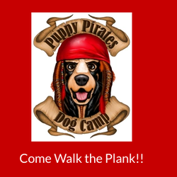 Puppy Pirates Dog Camp